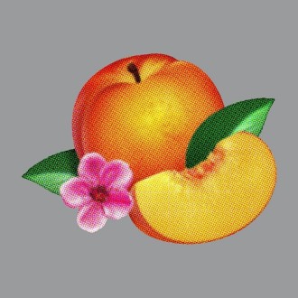 Phoenix – Bankrupt!