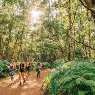 Lost Village festival review: A Michelin-starred rave in a field? This is five-star forest immersion